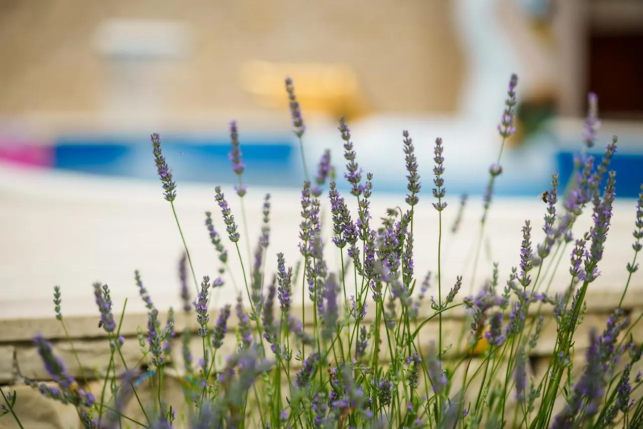 Villa Sul Mare Starigrad Paklenica Holiday home
